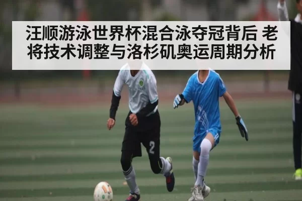 汪顺游泳世界杯混合泳夺冠背后 老将技术调整与洛杉矶奥运周期分析